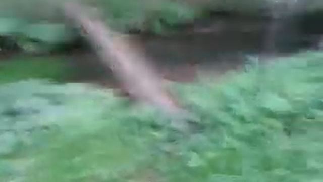 Adly 50ccm смотреть онлайн