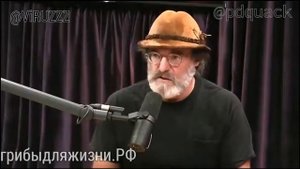 Лекарственный гриб Герициум (Козья борода)