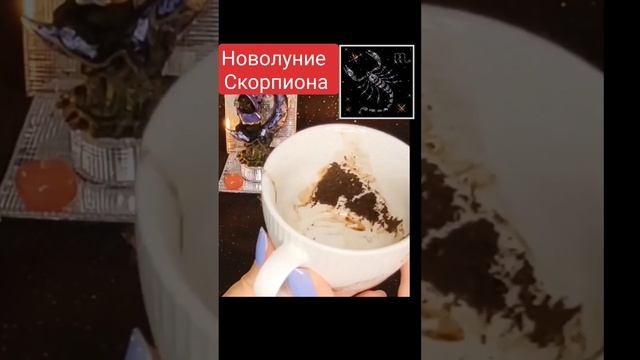 ?☕?СКОРПИОНЫ - Новолуние в Скорпионе для вас!