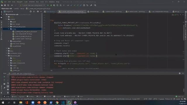BSV DevCon 2021 |  Testing applications in a regtest environment by Hayden Donnelly