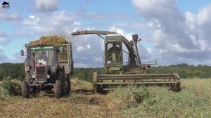 Fortschritt E-281 на заготовке силоса