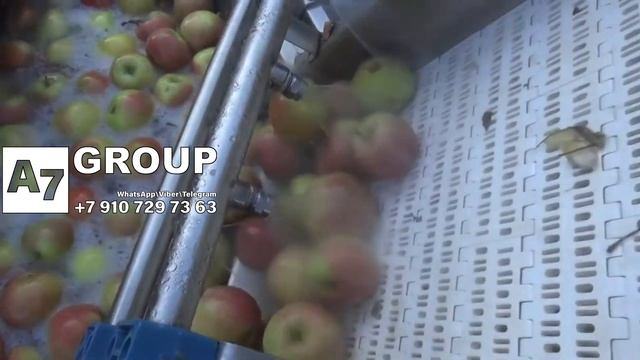 Моечная машина с дробилкой для линий прямого отжима 1500 кг/ч