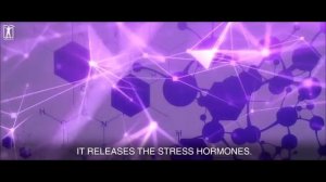 Д-р.Брюс Липтон:"Я научу вас, как больше не болеть"