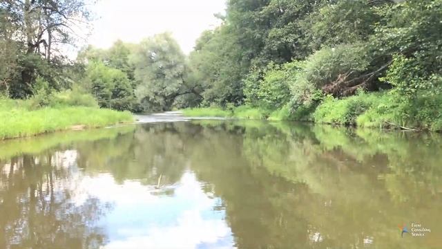 Корпоративный сплав по р.Таруса до отеля Welna, Калужская область. Водный тимбилдинг, эко-экскурсия смотреть онлайн