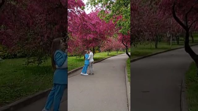 Екатерининский парк, яблоневая аллея. Москва.