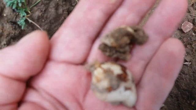 ОТВОД ВОДЫ ОТ ДОМА/ Монтаж ливневой канализации/Видео № 215 смотреть онлайн