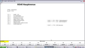 INPA Демонстрация работы программы диагностики BMW на кузове E60