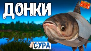 РР4/ рыбалка для души, ловим как универсал, общаемся 19.01.24