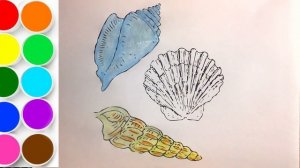 Как раскрасить морские РАКУШКИ для малышей / Раскраски мультик для детей / Детская Комната РАСКРАСК
