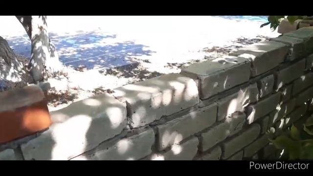 Поселок Сокол, Саратовская область.