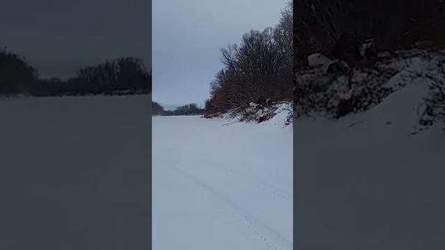 Квадроцикл на гусеницах или снегоход