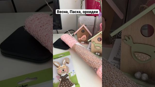 🌸Встречаем весну! #весна2023 #пасхальныйдекор #орхидеи #уют #фаленопсис #подпишись