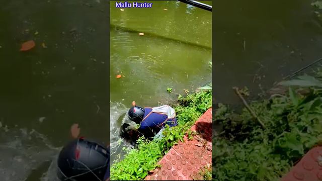 Slingshot Fishing kerala/Mallu Hunter