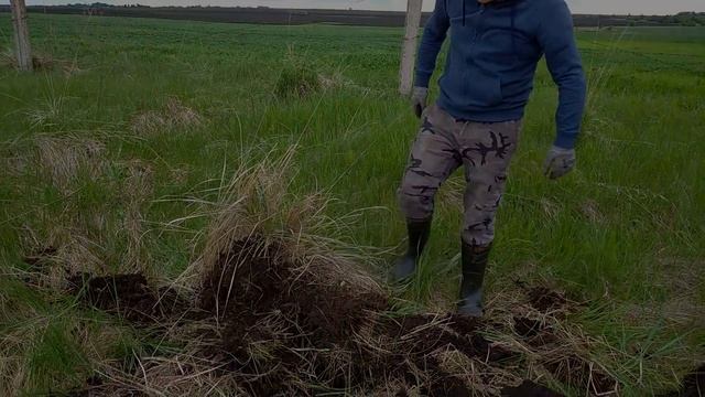 НА КРАЮ ПОЛЯ ОБНАРУЖИЛИ СКВАЖИНУ И ОЧИСТНЫЕ! ДЕРГАЕМ ТОННЫ ЧУГУННЫХ ТРУБ И ЛЮКОВ! Коп металлолома