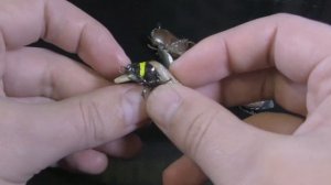 Воблеры жуки для ловли головля, язя и жереха