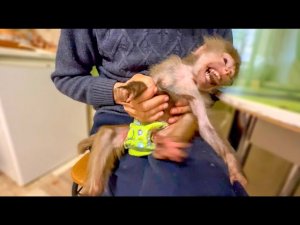 КОШМАР! Люська»Крымская» ест чеснок и сама снимает про себя видео!