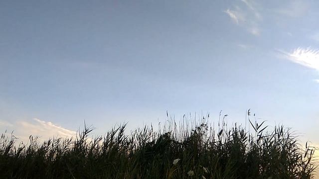 #ЕДУ НА БЕСПЛАТНЫЙ ПЛЯЖ ОЗЕРА КАРЬЕРА ЗАПАДНЫЙ#reallife смотреть онлайн