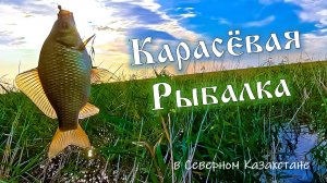 Рыбалка на карася. Сев-Казахстанская область, Есильский р-он, Июль 2023