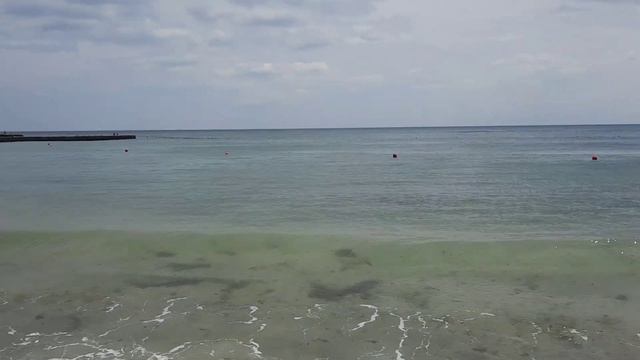 Одесса. ПРИШЛИ НА ПЛЯЖ ЧАЙКА! 8 СТАНЦИЯ ФОНТАНА! ЗАПРЕТ КУПАНИЯ В ДЕЙСТВИИ! ЛЮДИ БОЯТСЯ! смотреть онлайн