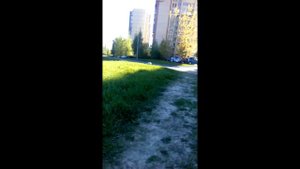 Пешком от ЖК "Живи в Рыбацком" до метро "Рыбацкое"