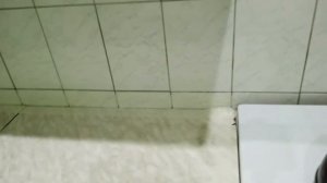 как поймать тараканов на скотч