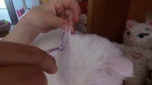 ИГРАЕМ В ДОКТОРА ЛЕЧИМ КОШКА ЗАБОЛЕЛА ВЕТЕРИНАР #САМАЯ РЕДКАЯ КОШКА В МИРЕ - ВИСЛОУХАЯ КАО МАНИ