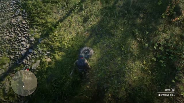 Птичьих яиц найдено:0/5(коллекционер)🐣🔍 смотреть онлайн