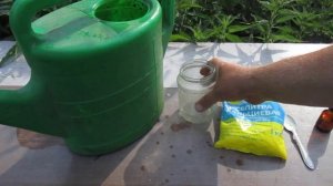 КАЛЬЦИЕВАЯ СЕЛИТРА для ПЕРЦА ЗАСТАВИТ  ЕГО К ЦВЕТЕНИЮ И ЗАКЛАДКИ ПЛОДОВ.
