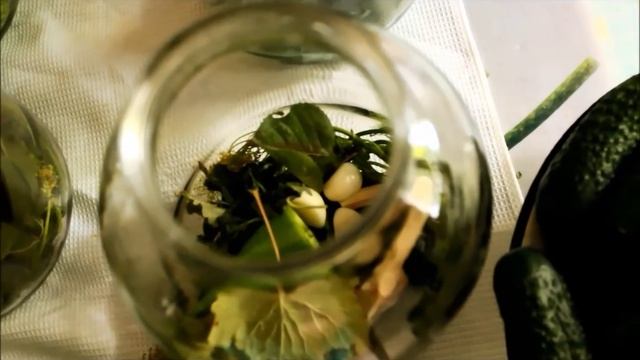 Закрываем огурцы на зиму. Семейный рецепт хрустящих солёных огурцов. смотреть онлайн