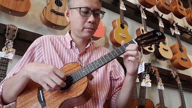 Realsun Ukulele (AC100/ AT100) Full Mahogany Body Ukulele смотреть онлайн