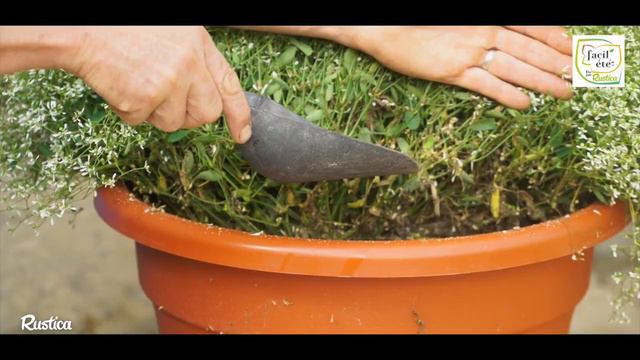 Créer une terrasse fleurie pour lété