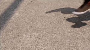 Кожаная повседневная обувь для мужчин