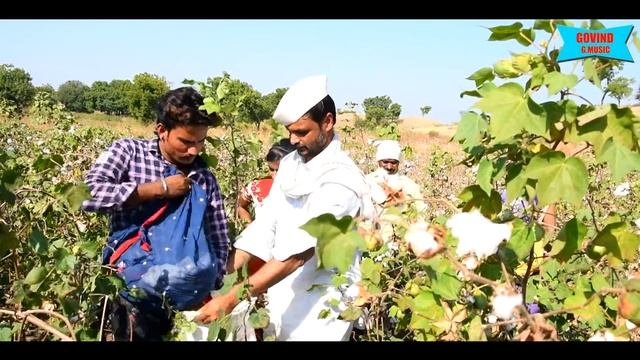 kapasi yechale gau mi wavarma new vidio ahirani 2020 song смотреть онлайн