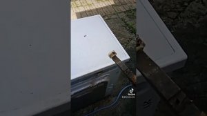 Ошибка 1Е или 4Ев стиральной машине, что нужно обязательно сделать!