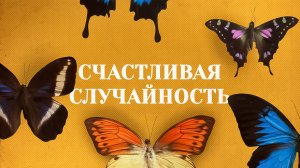 Все происходит НЕ ПРОСТО ТАК | Брайан Клаас