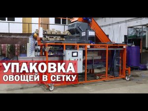 Упаковка моркови и картофеля (видео)