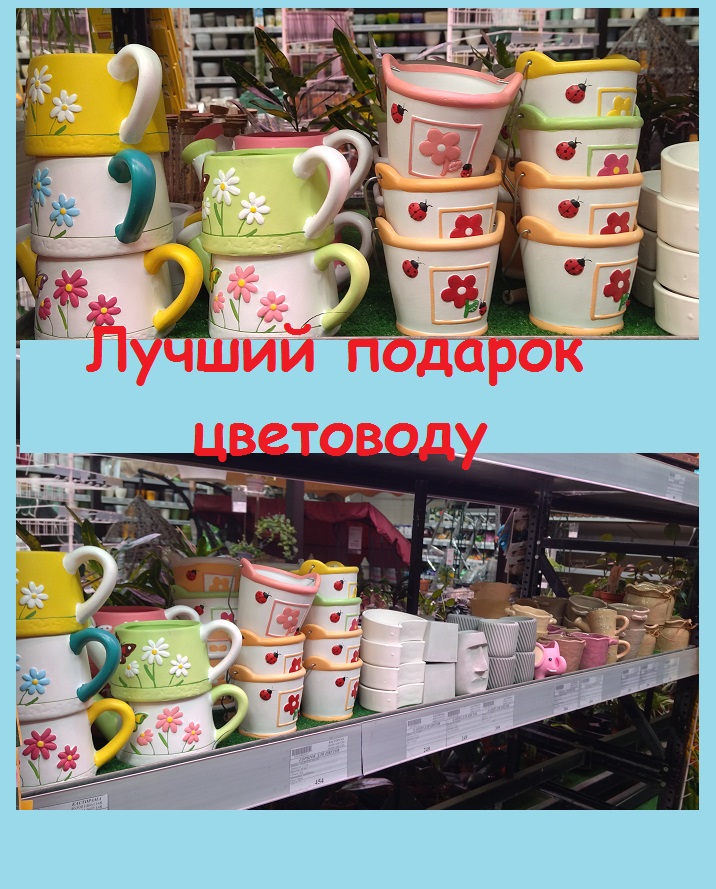 Что подарить любительнице цветов на праздник? Конечно, цветочный горшок!