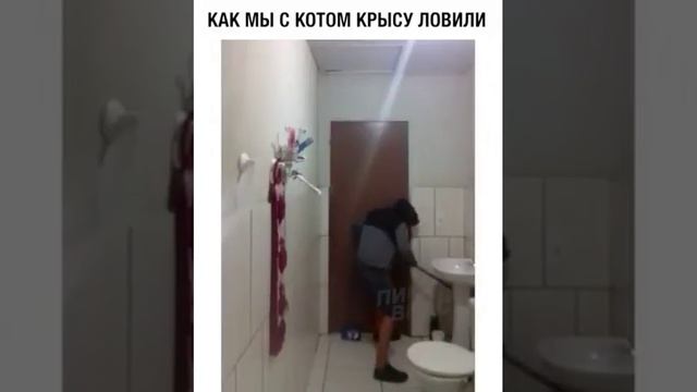 Как мы с котом мышь ловили