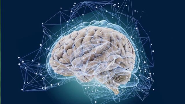 УДИВИТЕЛЬНЫЕ ФАКТЫ О КРОКОДИЛАХ, О КОТОРЫХ ВОЗМОЖНО ВЫ НЕ ЗНАЛИ