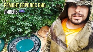 Ремонт Евролос Био. Замена насоса. Электрики обслуживают септик!!