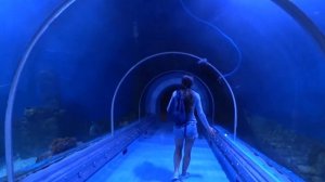 Гранд аквариум |Hurghada Grand Aquarium| Египет, Хургада. Лучшая экскурсия для детей и не только...