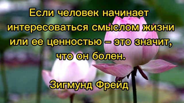 Жизненные цитаты 💯 / Мудрые слова мыслителей и Великих Людей