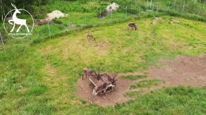 Кордон Черноречье в Керженском заповеднике