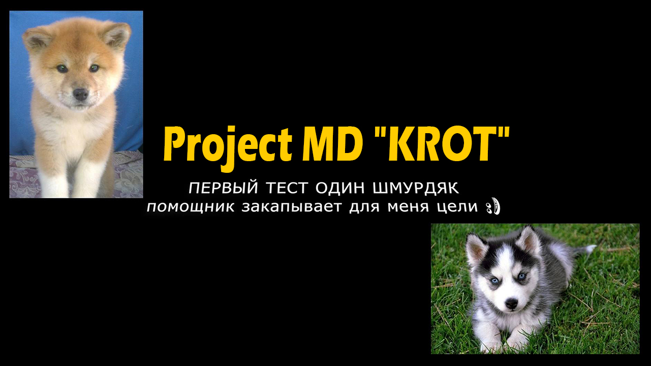 Первый Тест МД Один мусор Помощник закапывает для меня цели