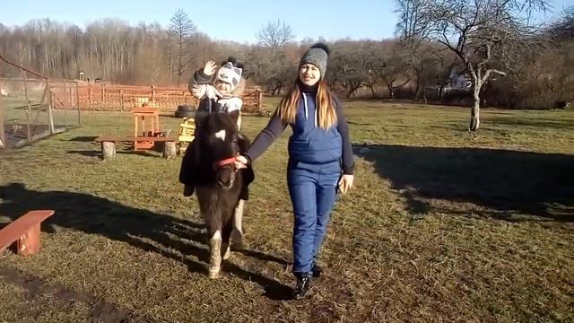 Зоотерапия ребенка Катание на пони Полесск смотреть онлайн