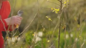 Spring Gardening with Carol Klein🍀Episode 2