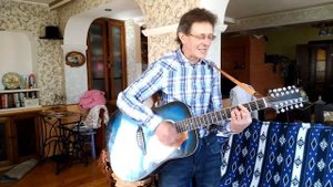 Двенадцатиструнная гитара.