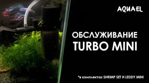 Обслуживание фильтра TURBO MINI (из комплекта аквариума AQUAEL SHRIMP SET)