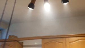 #234 ЁЛКОПАЛЬМА/ КУПИЛИ СОКОВЫЖИМАЛКУ/ЧТО ТАКОЕ 3G/НОЧЬ В ДЕТСКОМ САДИКЕ/ НОВОЕ ПРОЧТЕНИЕ КАРТЫ МИР