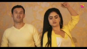 Зангир нестум 1.2. REMIX. من ازدواج نکرده ام
